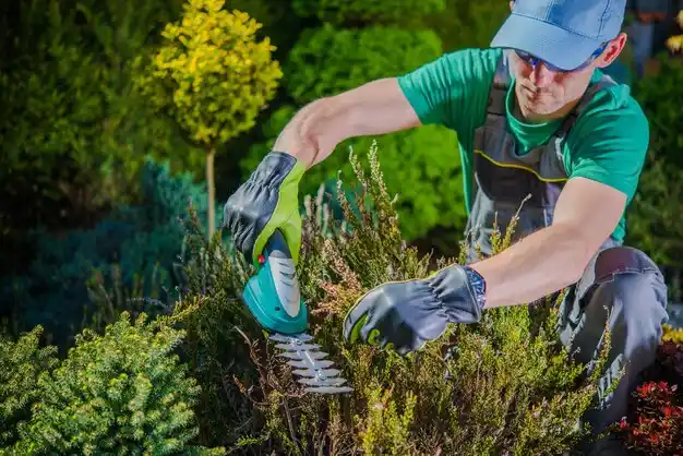 landscaping services Shannon